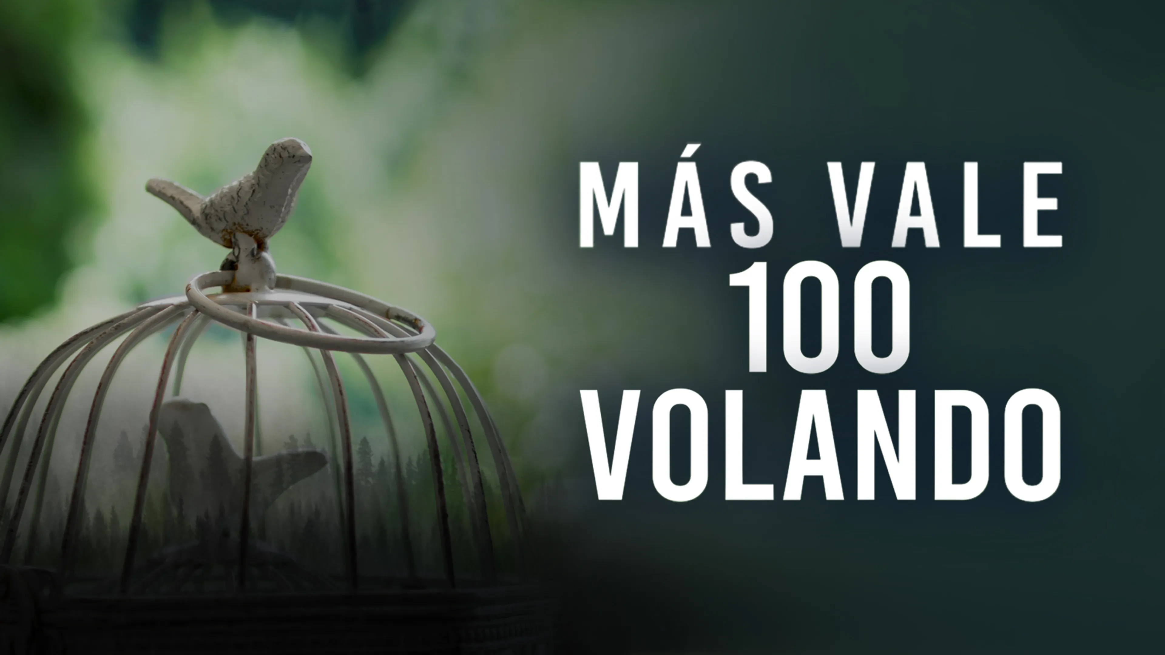 Más Vale 100 Volando poster